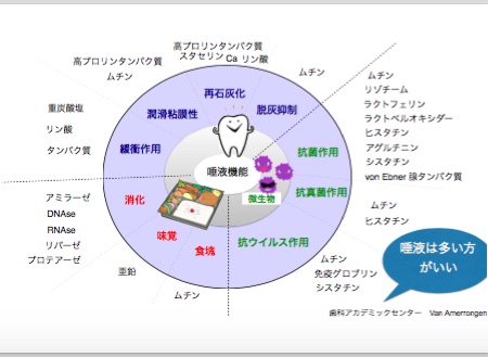 実は虫歯予防に大事な唾液の話