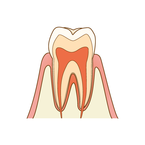 歯の神経の役割とは？
