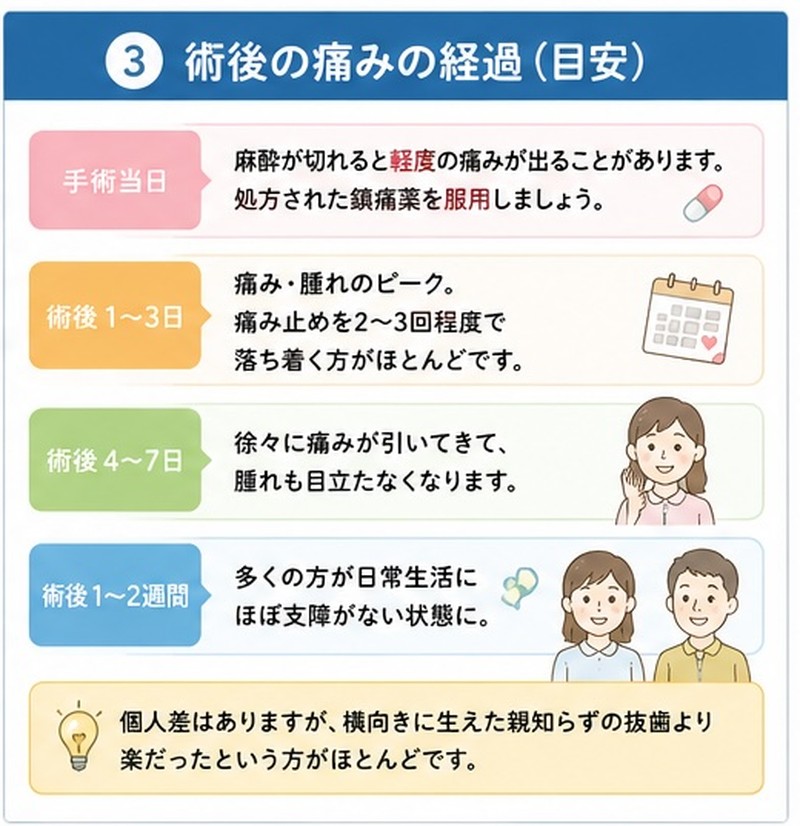 ③術後の痛みの経過(目安)―当日から2週間