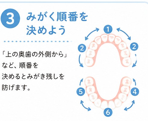 みがく順番を決めよう