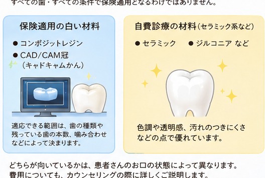 保険適用の白い材料と自費診療の材料